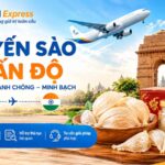 Gửi yến sào đi Ấn Độ nhanh chóng, an toàn