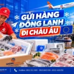 Gửi hàng đông lạnh đi Châu Âu