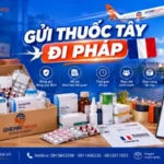 Gửi thuốc tây đi Pháp