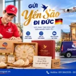 Gửi yến sào đi Đức