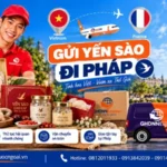 Gửi yến sào đi Pháp