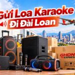 Gửi loa karaoke đi Đài Loan