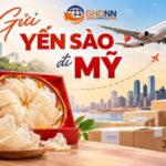 Gửi yến sào đi Mỹ