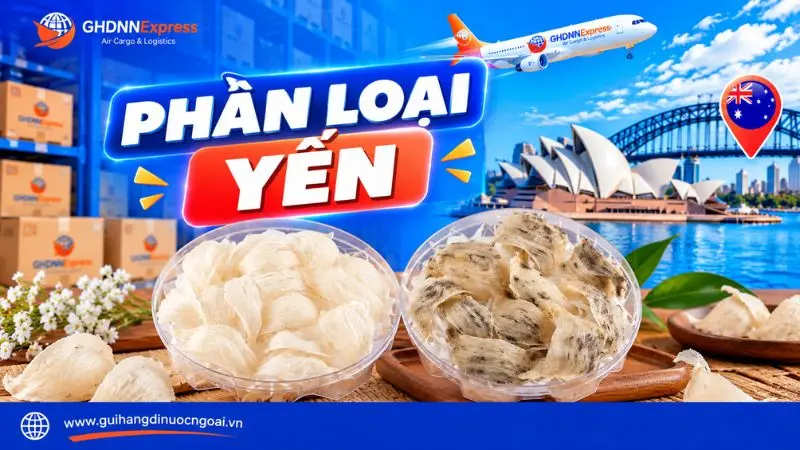 Phân loại yến gửi đi Úc