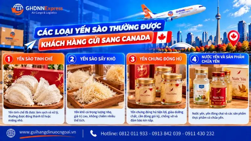 Các loại yến sào thường được gửi đi canada