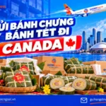 Gửi bánh chưng bánh tét đi Canada