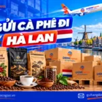 Gửi cà phê đi Hà Lan