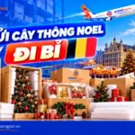 Gửi cây thông đồ trang trí noel đi Bỉ