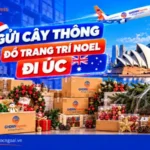 Gửi cây thông đồ trang trí noel đi Úc