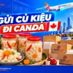 Gửi củ kiệu đi Canada