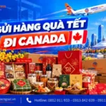 Gửi hàng quà tết đi Canada