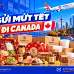 Gửi mứt tết đi Canada