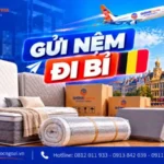 Gửi nệm đi Bỉ