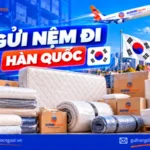 Gửi nệm đi Hàn Quốc