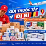 Gửi thuốc tây đi Bỉ
