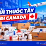 Gửi thuốc tây đi Canada