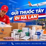 Gửi thuốc tây đi Hà Lan