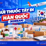 Gửi thuốc tây đi Hàn Quốc