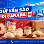 Gửi yến sào đi Canada
