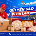gửi yến sào đi Hà Lan