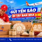 Gửi yến sào đi Tây Ban Nha