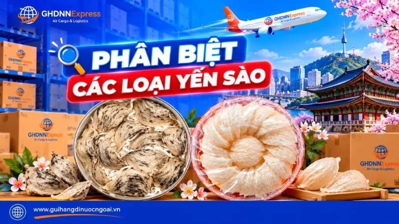 Phân biệt yến thô và yến tinh chế khi gửi đi Hàn